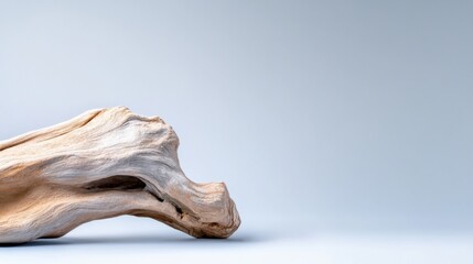 Naklejka premium piece of driftwood on a light blue background with copy space