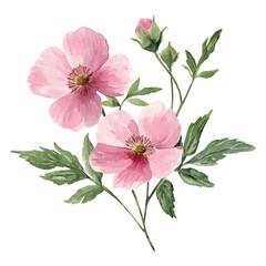 Obraz premium Watercolor Pink Flowers with Green Leaves