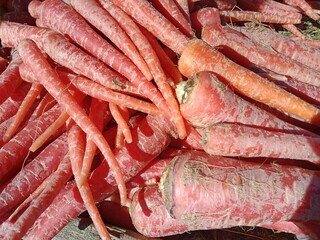 Carrots pile displayed in order on vendor's.Daucus carota pile displayed in order on vendor's. Carrots pattern background 