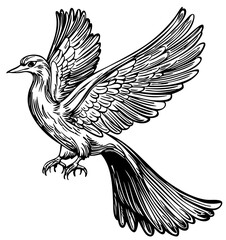 Artistic Phoenix Line Art High-Quality Monochrome Design, Sketch, No Background 