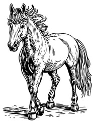 Artistic Unicorn Line Art High-Quality Monochrome Design, No Background 