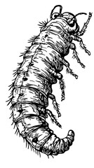 Black-and-White Cartoon Caterpillar Precision and Detail in Illustration, Sketch, No Background 