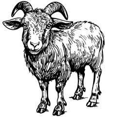 Black-and-White Cartoon Goat Precision and Detail in Illustration, Sketch, No Background 