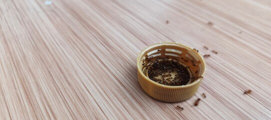 Ants Swarming a Bottle Cap with Sweet Liquid