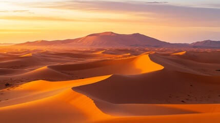 Naklejka premium Golden dunes of the Sahara Desert glow at sunrise in Merzouga, Morocco.