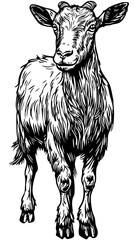 Classic Cartoon Goat Artwork High-Contrast Black-and-White Art, Sketch, No Background 