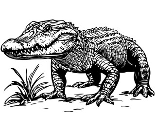 Naklejka premium Elegant Illustration of Cartoon Crocodile Monochrome Art in High Detail, Sketch, No Background