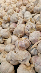 Garlic close up in supermarket. Lots of garlic in plastic green box on market stall. Garlic in green plastic box at farmers market. Garlic for sale in store. Display of fresh produce for sale