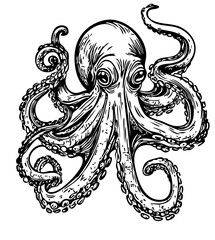 Elegant Illustration of Cartoon Octopus Monochrome Art in High Detail, Sketch, No Background