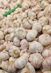 Garlic close up in supermarket. Lots of garlic in plastic green box on market stall. Garlic in green plastic box at farmers market. Garlic for sale in store. Display of fresh produce for sale