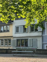 golden hour in garden