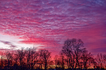 Fototapeta premium Colorful winter sky sunset