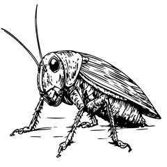 Striking Cartoon Cricket Image Perfect for Logos and Illustrations, Sketch, Transparent Background