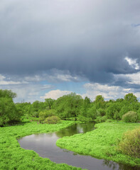 River runs through a lush green field with trees in the background