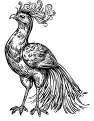 Stylized Phoenix Outline Versatile Vector Art, Transparent Background, Sketch