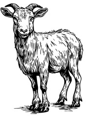 Timeless Cartoon Goat Silhouette Capturing Nature in Black and White, Sketch, Transparent Background