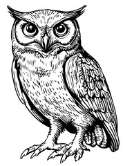 Timeless Cartoon Owl Silhouette, Capturing Nature in Black and White, Sketch, Transparent Background