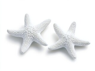 Obraz premium two white starfish on a white background