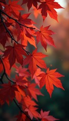 Fototapeta premium Deep russet beech leaves clinging to branches, park, beech