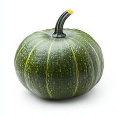 A round, dark green pumpkin with a smooth surface and a small yellow stem, showcasing a classic autumnal appearance.