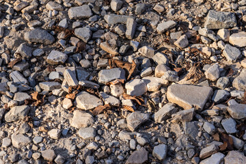 Textured ground covered with rocks and fallen leaves, showcasing nature’s rough and detailed surface in sunlight