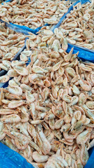 Frozen cooked shrimps in supermarket or grocery store, close-up. Seafood. Many frozen unpeeled shrimps