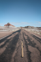 Petrified Forest National Park