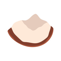 coconut. The tropical fruit is coconut. coconut chips. coconut grew on a palm tree. coconut milk. an artful cocktail. a fruit painted in a flat style. vector. delicious milk.