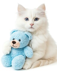 A Fluffy White Kitten Cuddles a Teddy Bear on White