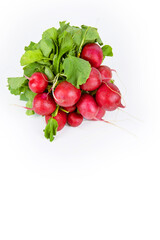 Bunch of ripe fresh gathered radish with green leaves isolated on white background. A bundle of raw radishes to sell. Delicious veggie snack. Farm harvest vegetables. Empty copy space. Selective focus