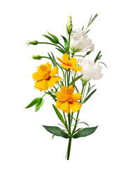 Floral arrangement (bouquet) of yellow Lanceleaf Coreopsis flowers, white Eustoma and Stellaria longifolia. Design element for creating floral arrangements, collages, wedding cards, invitations.