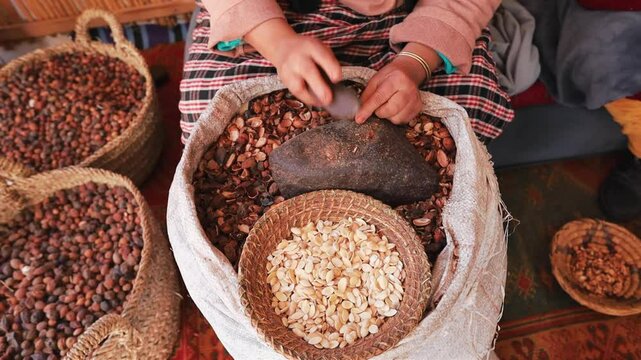 Close up of woman's hands peeling Argan fruits on the Argan oil factory Morocco