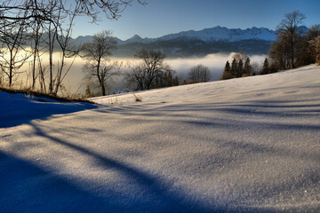 Tatry mglisty poranek w górach w zimie © Przemysaw
