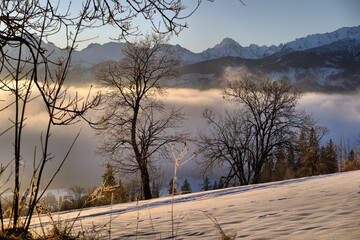 Tatry mglisty poranek w górach w zimie © Przemysaw