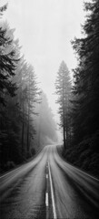 A Road through the Forest v1 25