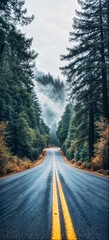 A Road through the Forest v1 14
