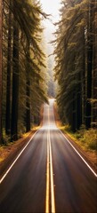 A Road through the Forest v1 15