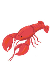 Langosta ilustrada en digital