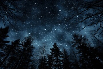 Fototapeta premium Deep Night Sky with Trees Standing Tall. Beautiful Starry Sky and Black Forest. Astronomy and Astrology Background Texture