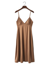 Brown Satin Slip Dress Hanging on Wooden Hanger isolated transparent background cutout