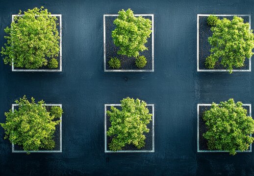 parking area, blacktop, median, vegetation, spots, car parking spaces, hue, emerald