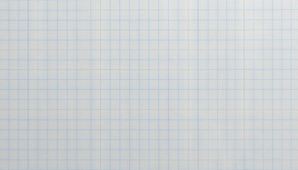 This grid-patterned paper features light blue lines creating squares, ideal for drawing, drafting, and organizing information in a systematic way. Perfect for educational tasks