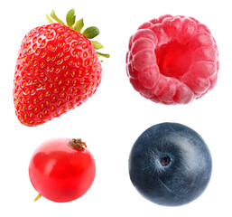 Blueberry, raspberry, y strawberry and redcurrant berry isolated on white