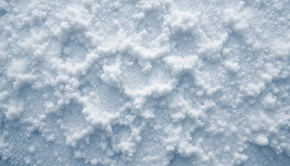 Obraz premium Freshly fallen snow creates a serene landscape with intricate crystal patterns on the ground. The scene captures the beauty and calmness of winter after a recent snowfall