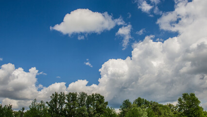 White clouds above tree tops against blue sky.