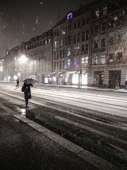 people walking in the city