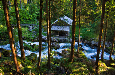 Wood building beside a stream running through green trees at Golling Waterfall on a spring morning in Golling an der Salzach, Austria.