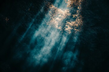 Mystical Forest Sunlight Rays