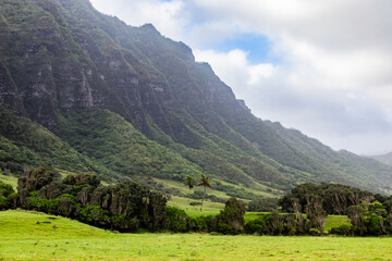 Fototapeta premium hawaii landscape