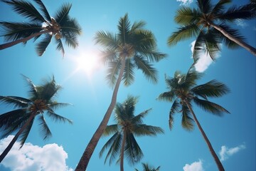Palmeras and Tropical Paradise with Blue Sky on Beach Vacation